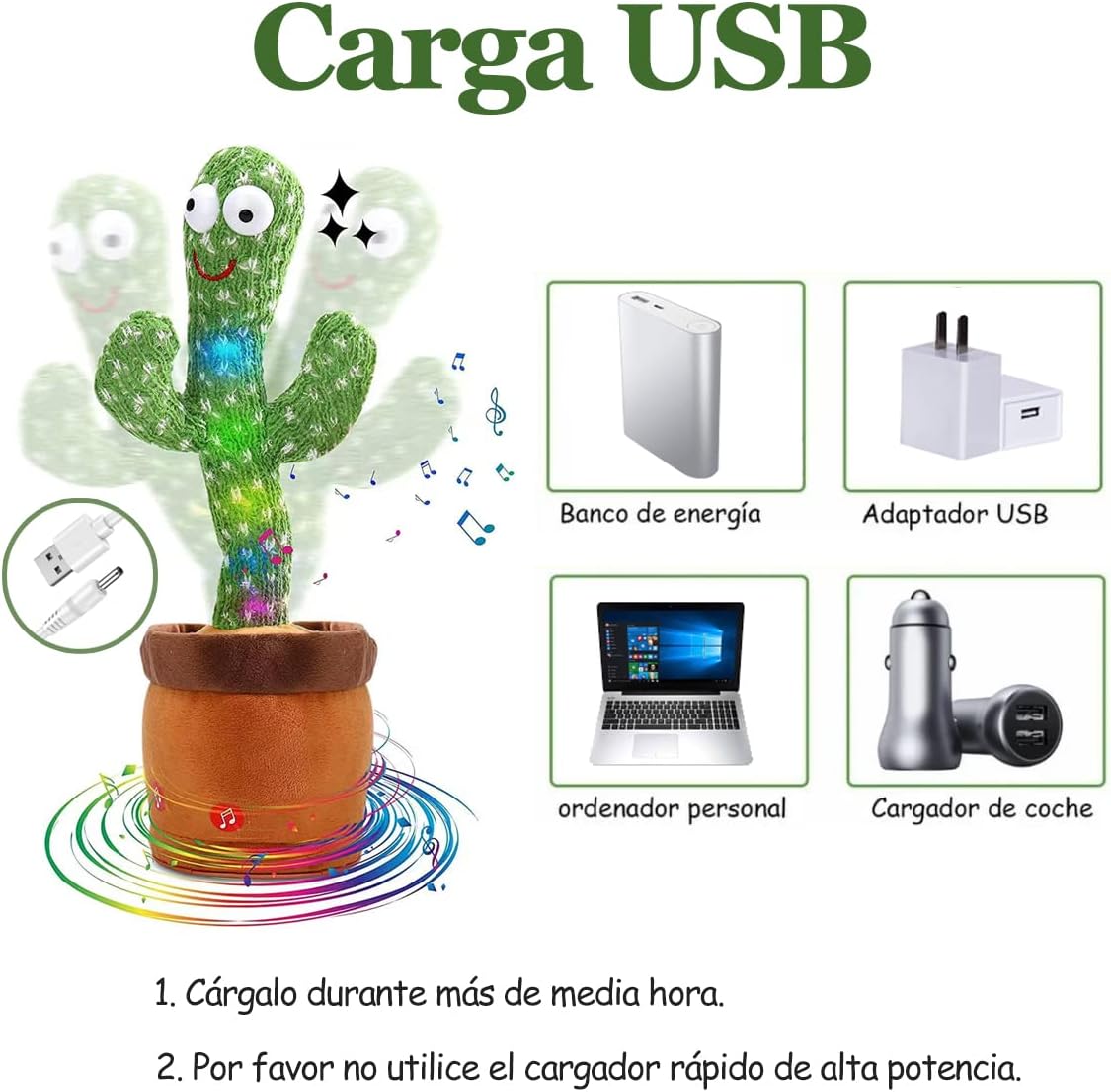 Cactus Rie y Baila