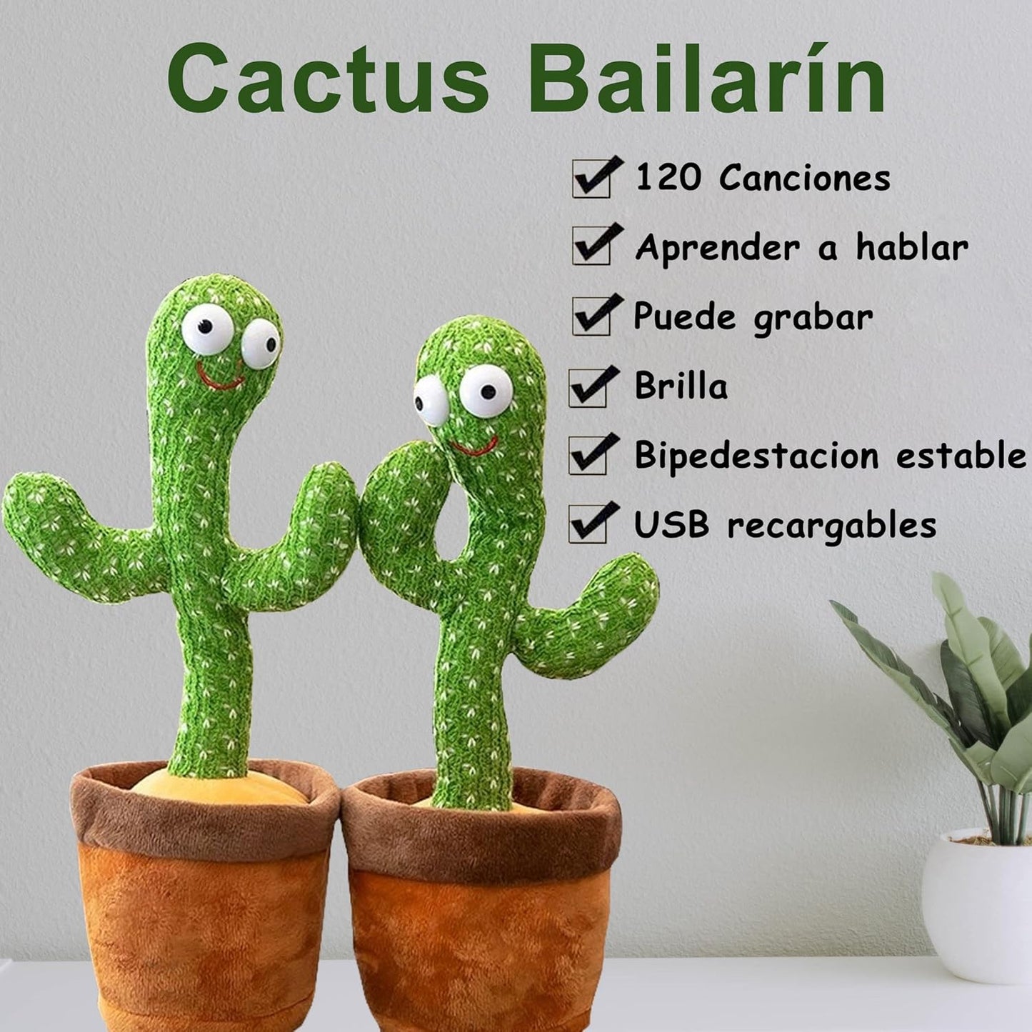 Cactus Rie y Baila