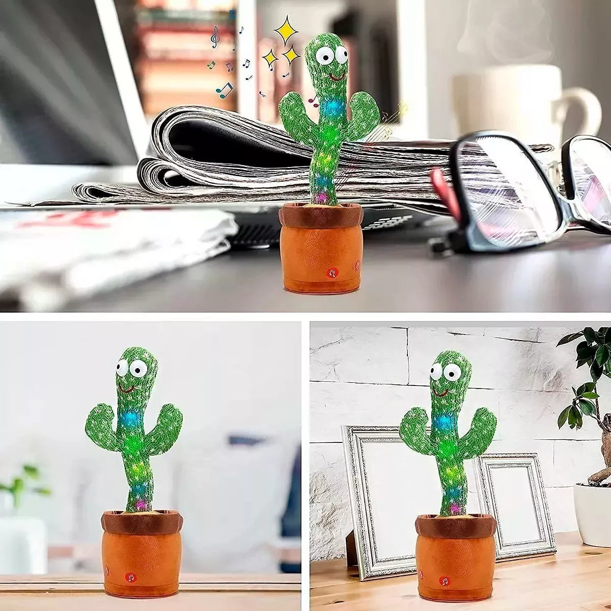 Cactus Rie y Baila