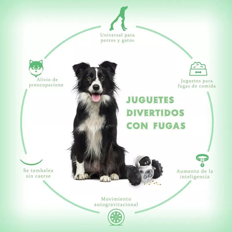 ¡RoboPaw!