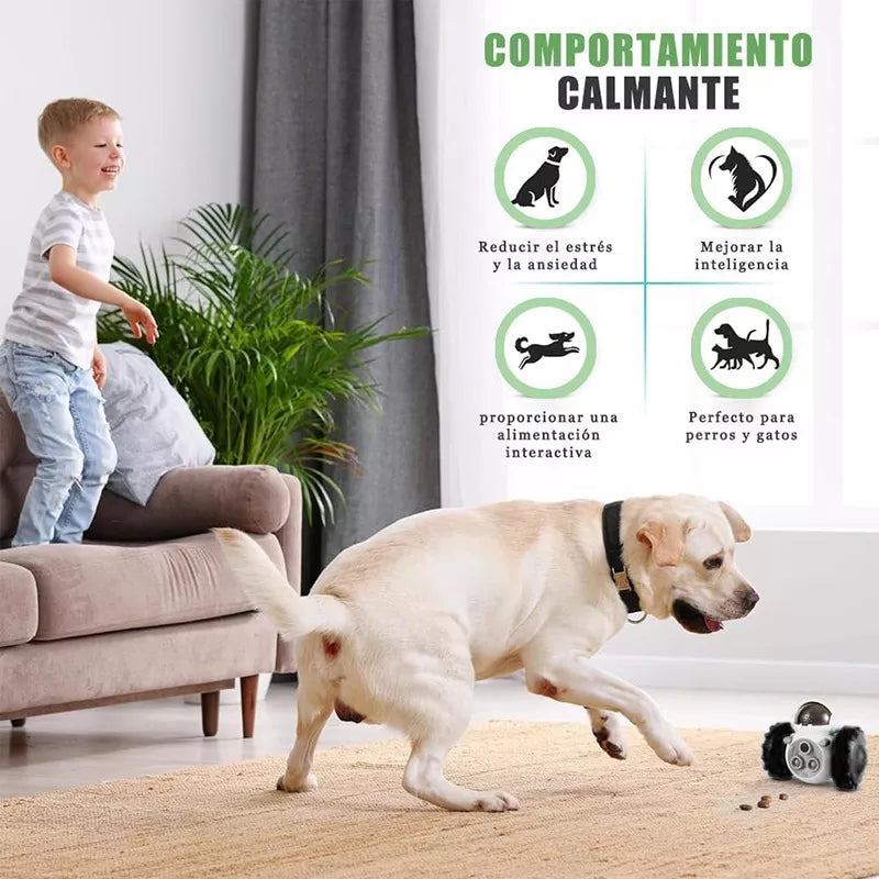 ¡RoboPaw!