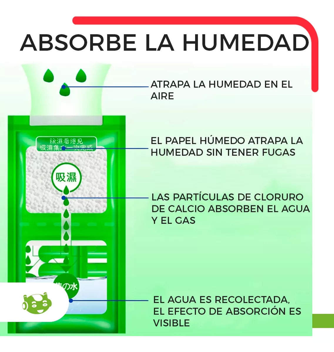 DrySafe Home (KIT de 5, 10 y 15 pz)